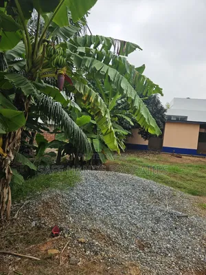One Acres of Land for Sale