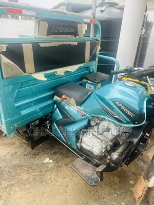 Apsonic AP150ZH-175A 2025 Green
