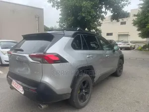 Toyota RAV4 XLE AWD 2019 Silver
