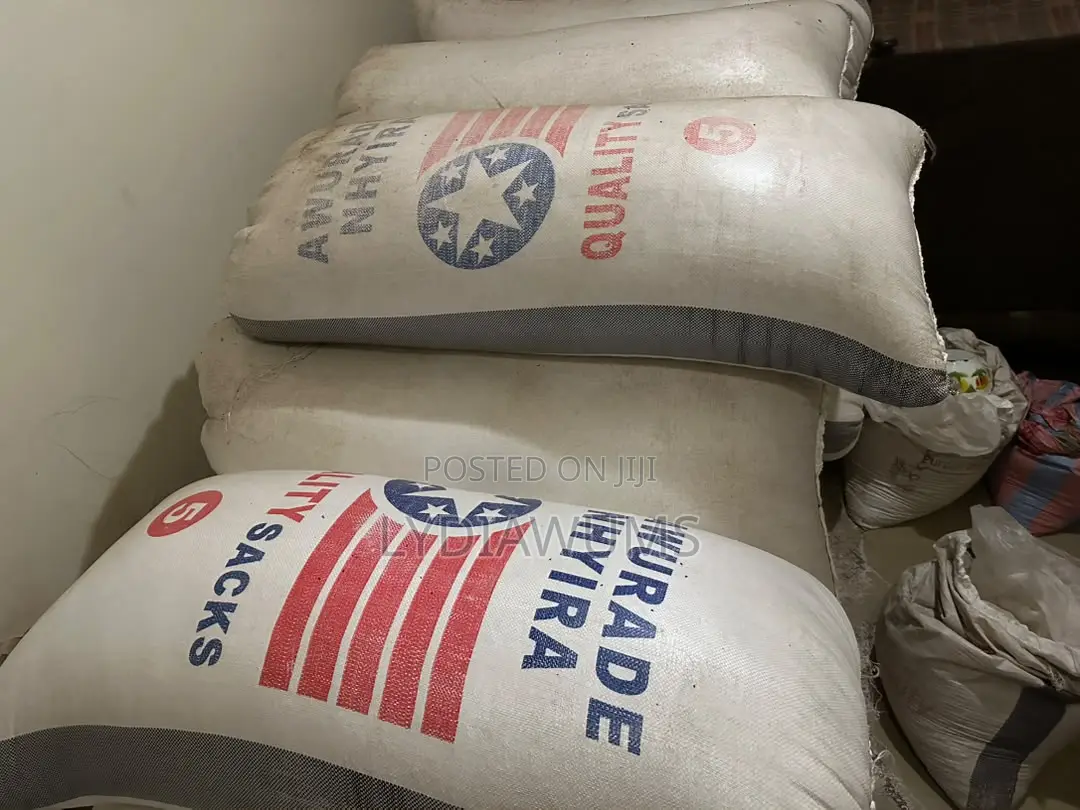 White Maize Available in Large Quantities