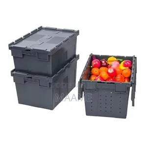 Storage/ Chop Box