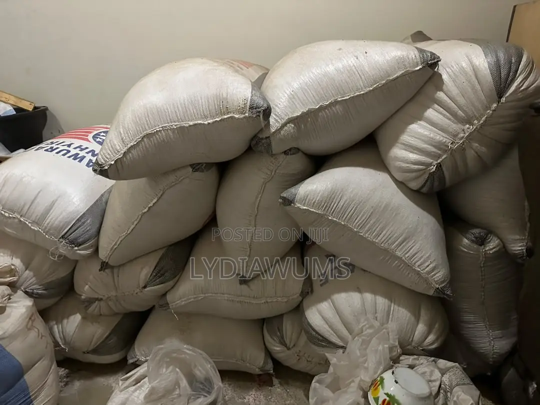 White Maize Available in Large Quantities