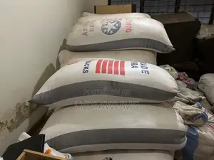 White Maize Available in Large Quantities