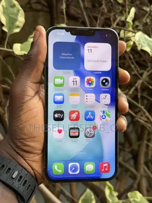 Apple iPhone 13 Pro Max 256 GB Blue