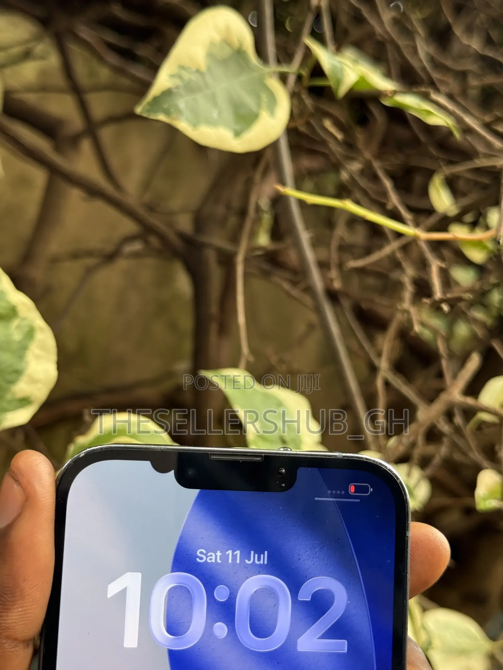 Apple iPhone 13 Pro Max 256 GB Blue