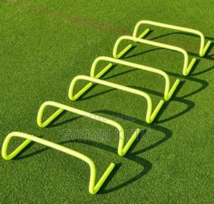 Training Hurdles