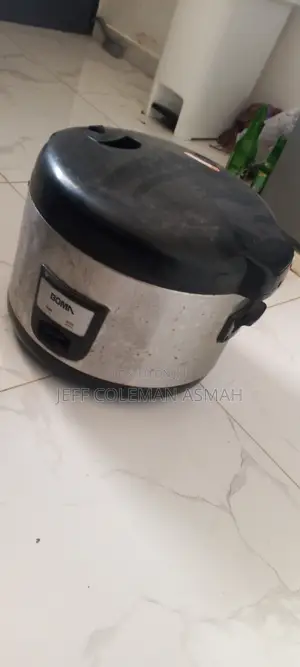 Deep Fryer.Big Rice Cooker And Buffet Place And Other Stuff