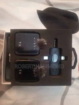 Mini Microphone
