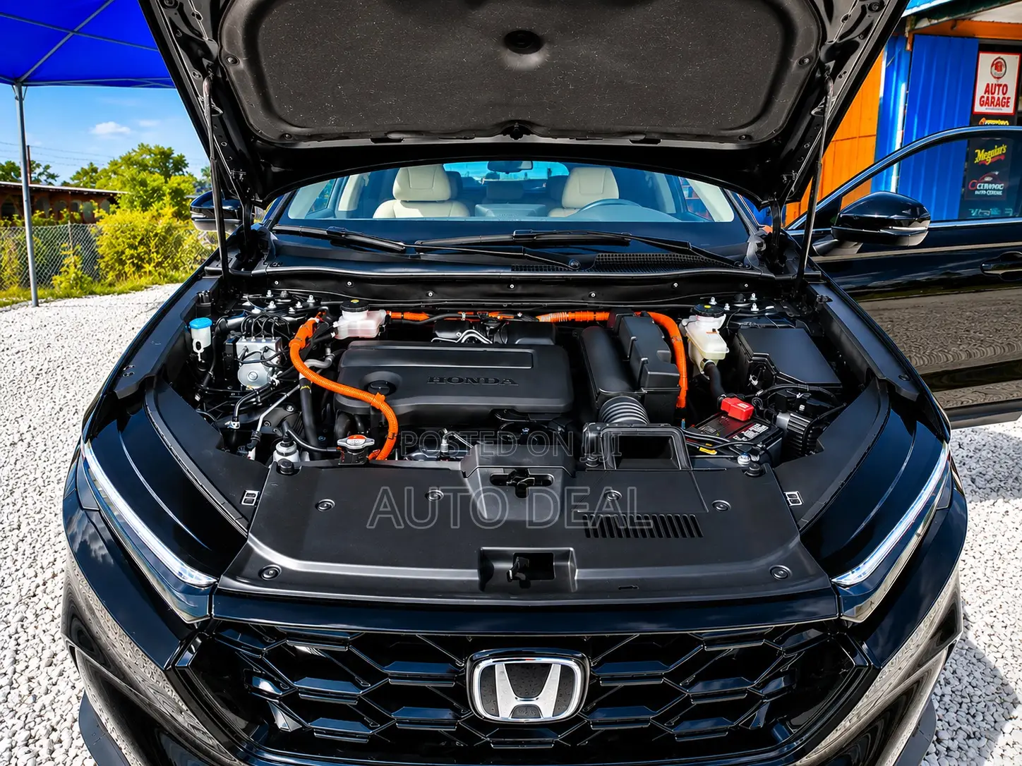 Honda CR-V EX-L AWD w/o BSI 2024 Black