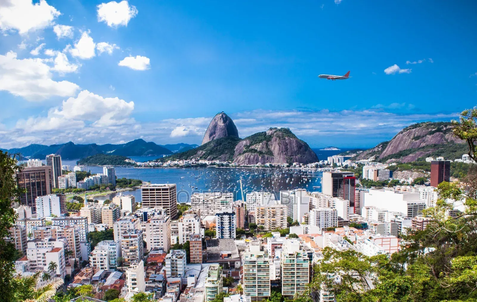 Brazil Work Visa + Job Opportunity