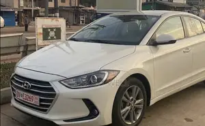 Hyundai Elantra Sport Sedan FWD (1.6L 4cyl 6M) 2017 Silver