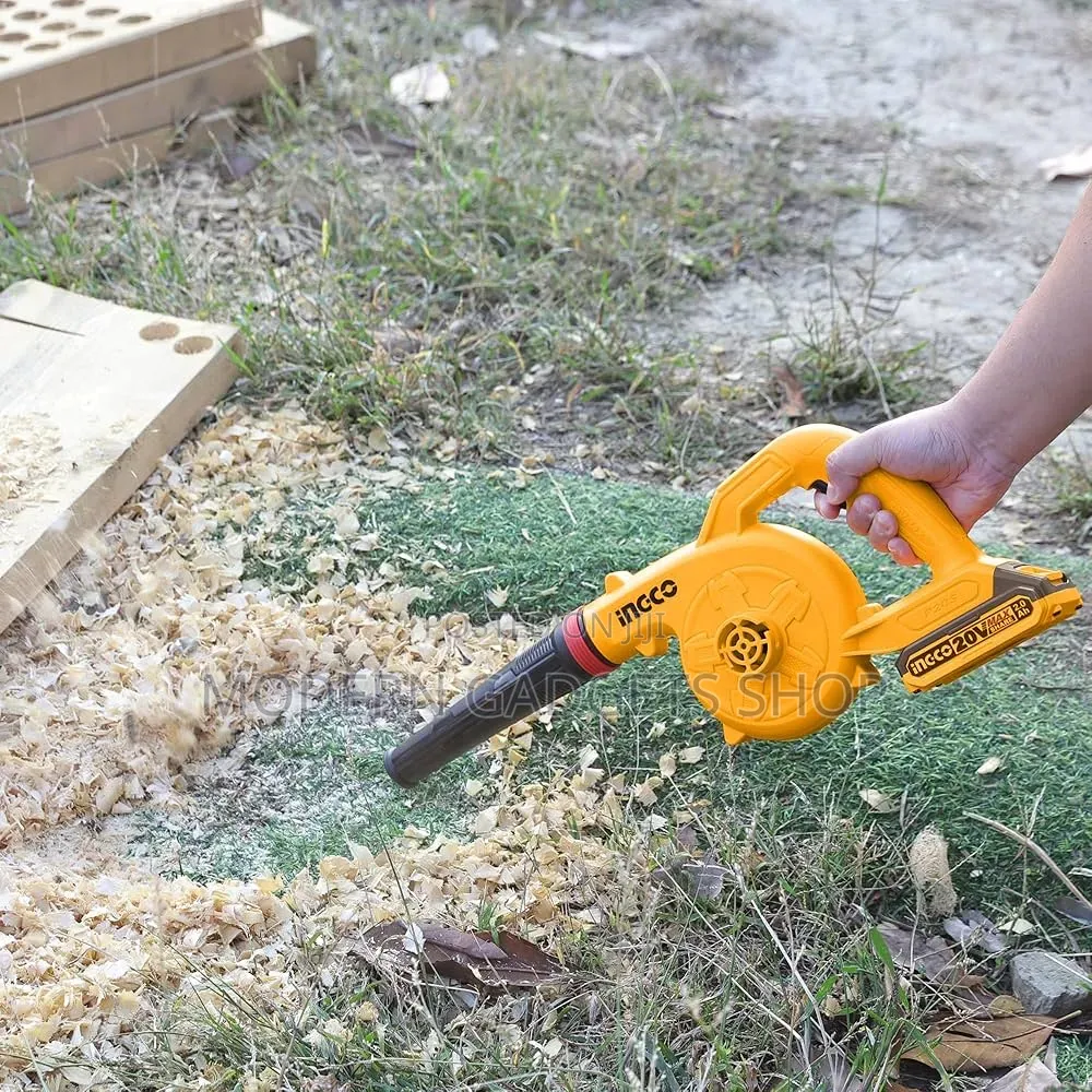 Mini Cordless Air Blower