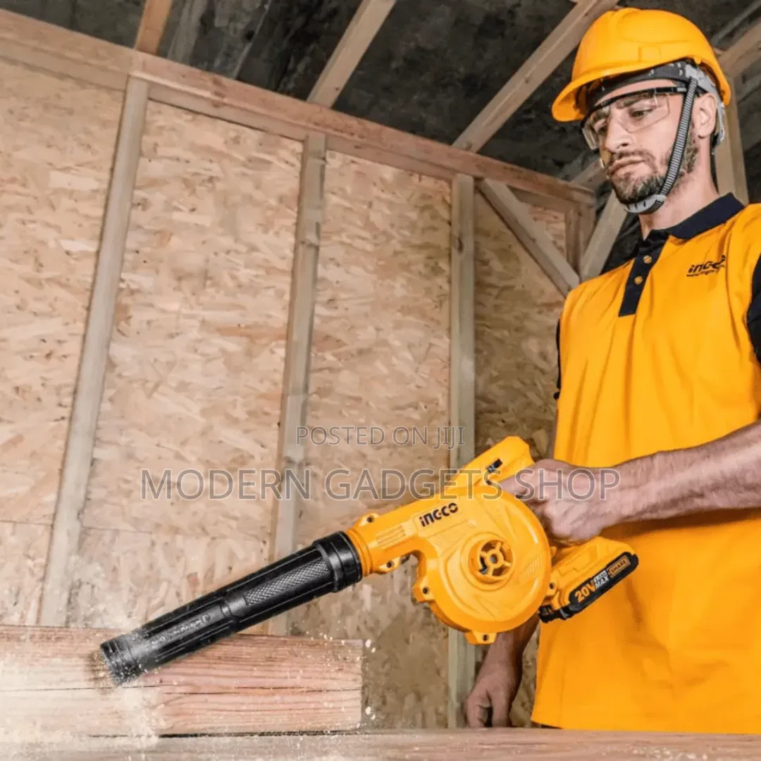 Battery Powered Dust Blower/Vacuum Cleaner