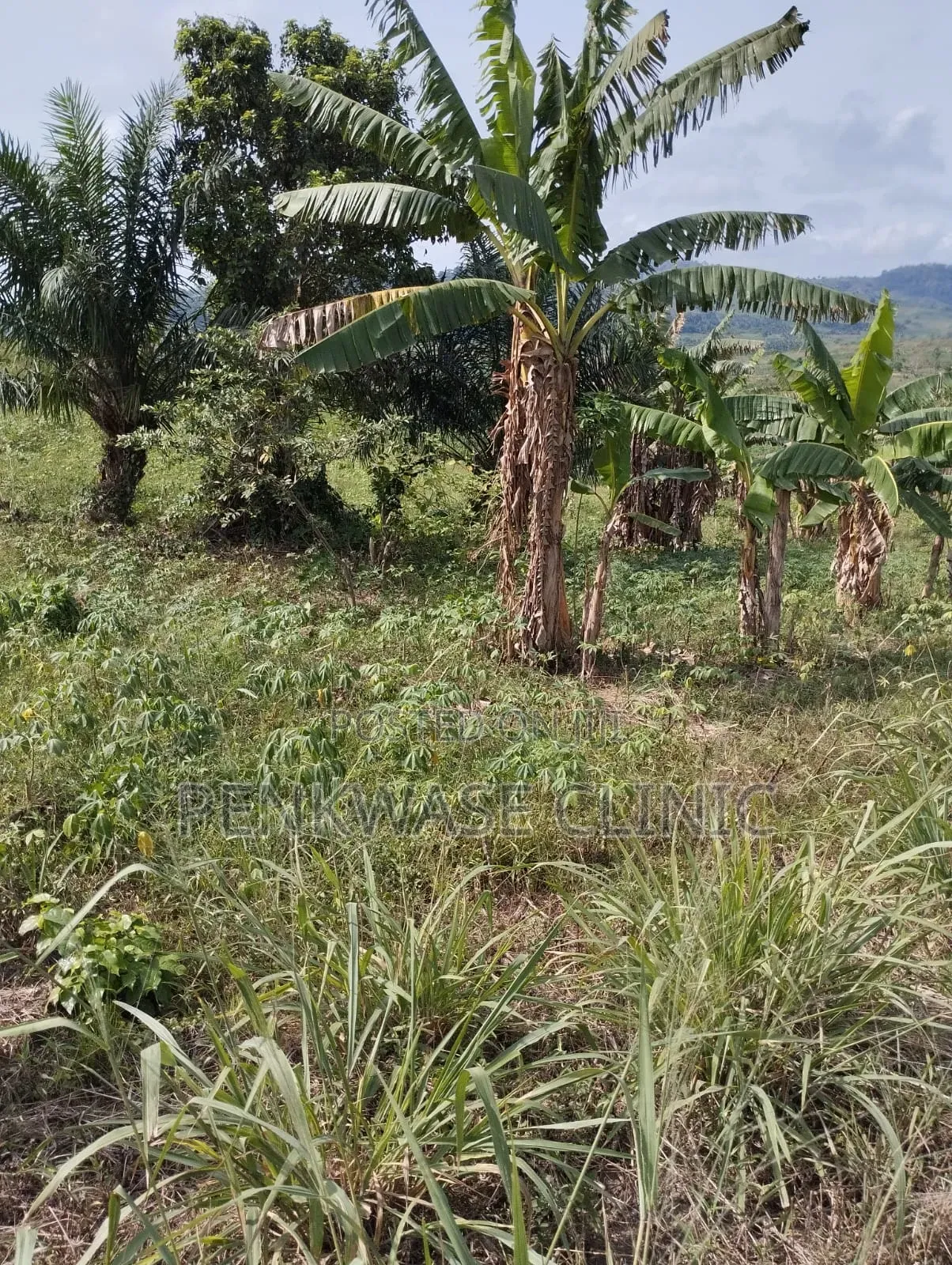 Land for Sale – Tsopoli, New Airport Area, Accra