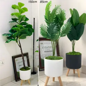Flower Pot, Flowers and Potted Plant Curated for Modern Living Spaces