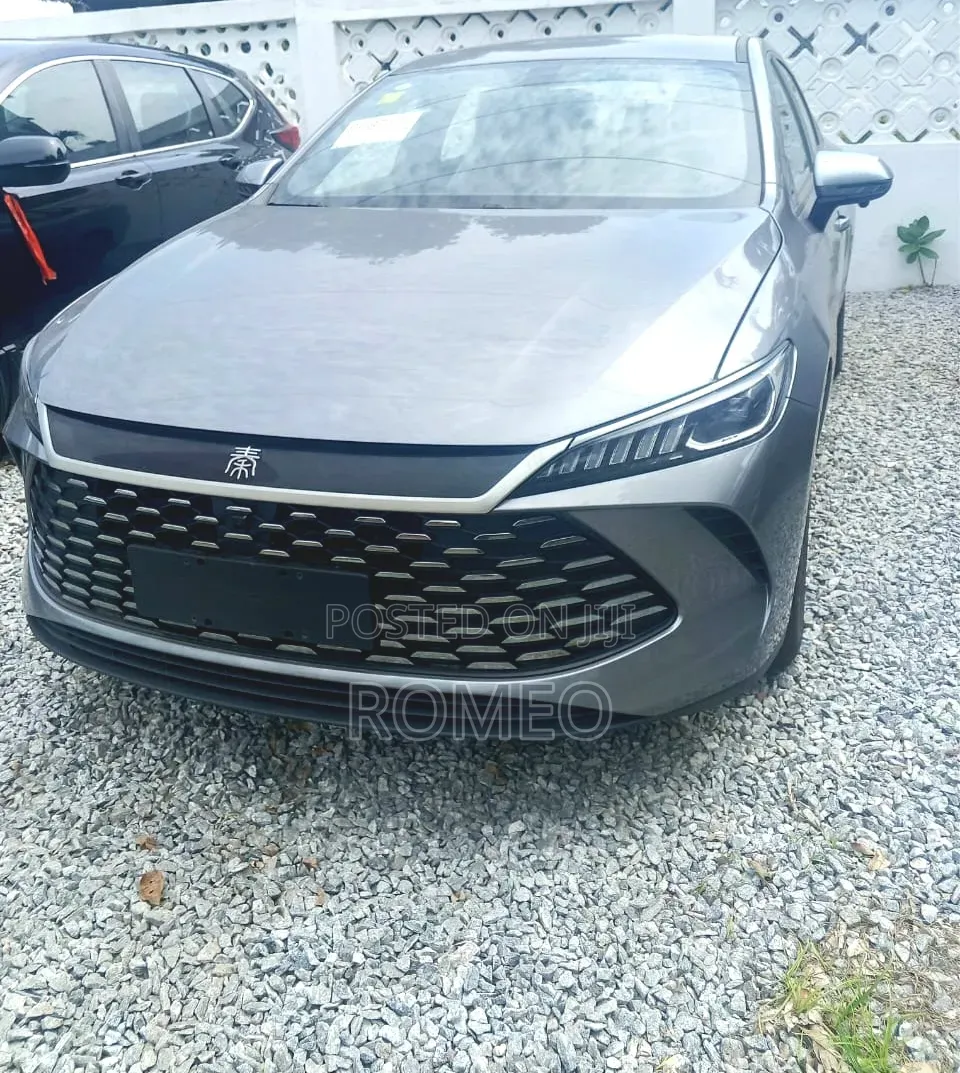 BYD Yuan Plus 2025 Gray