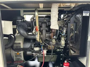 Perkins Generator/Plant