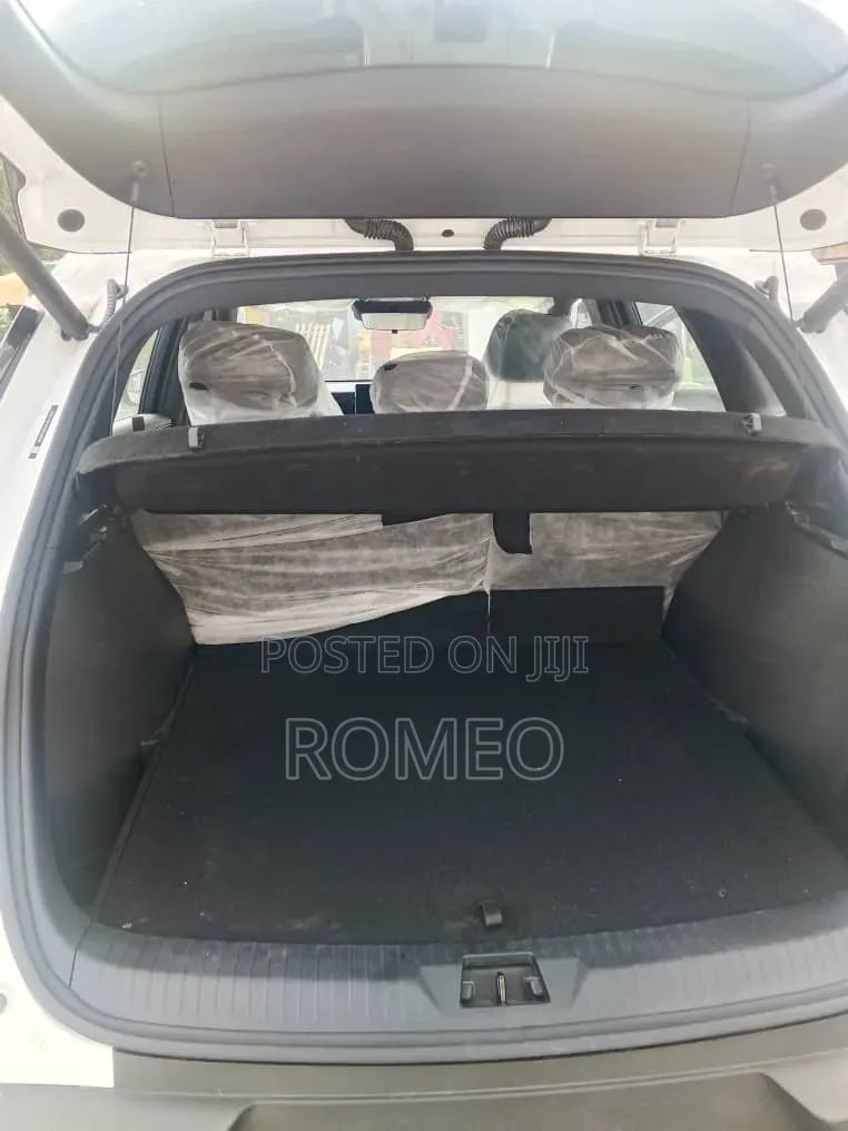 BYD Yuan Plus 2025 Gray