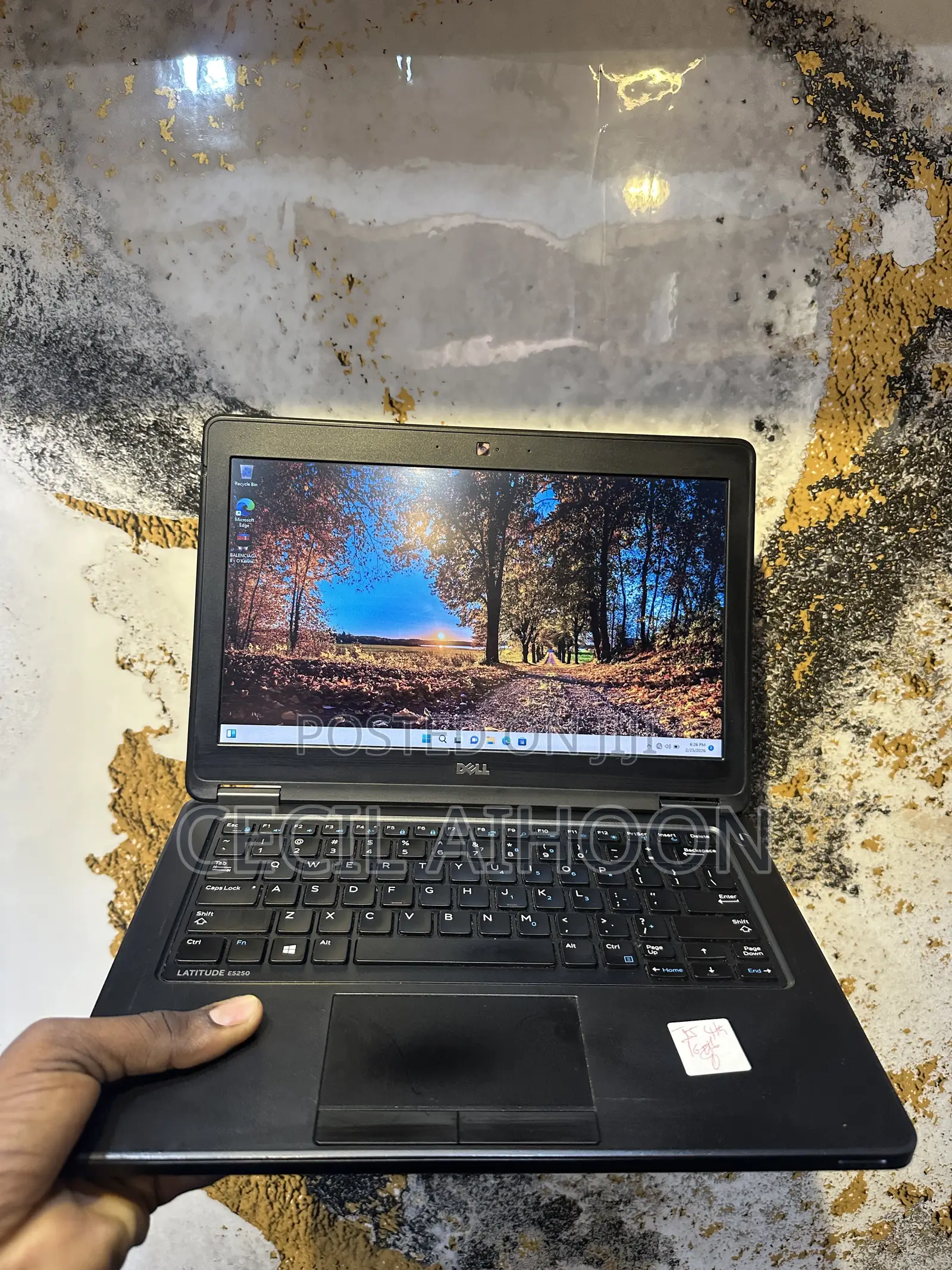 Laptop Dell Latitude 12 E5250 16GB Intel Core i5 SSD 512GB