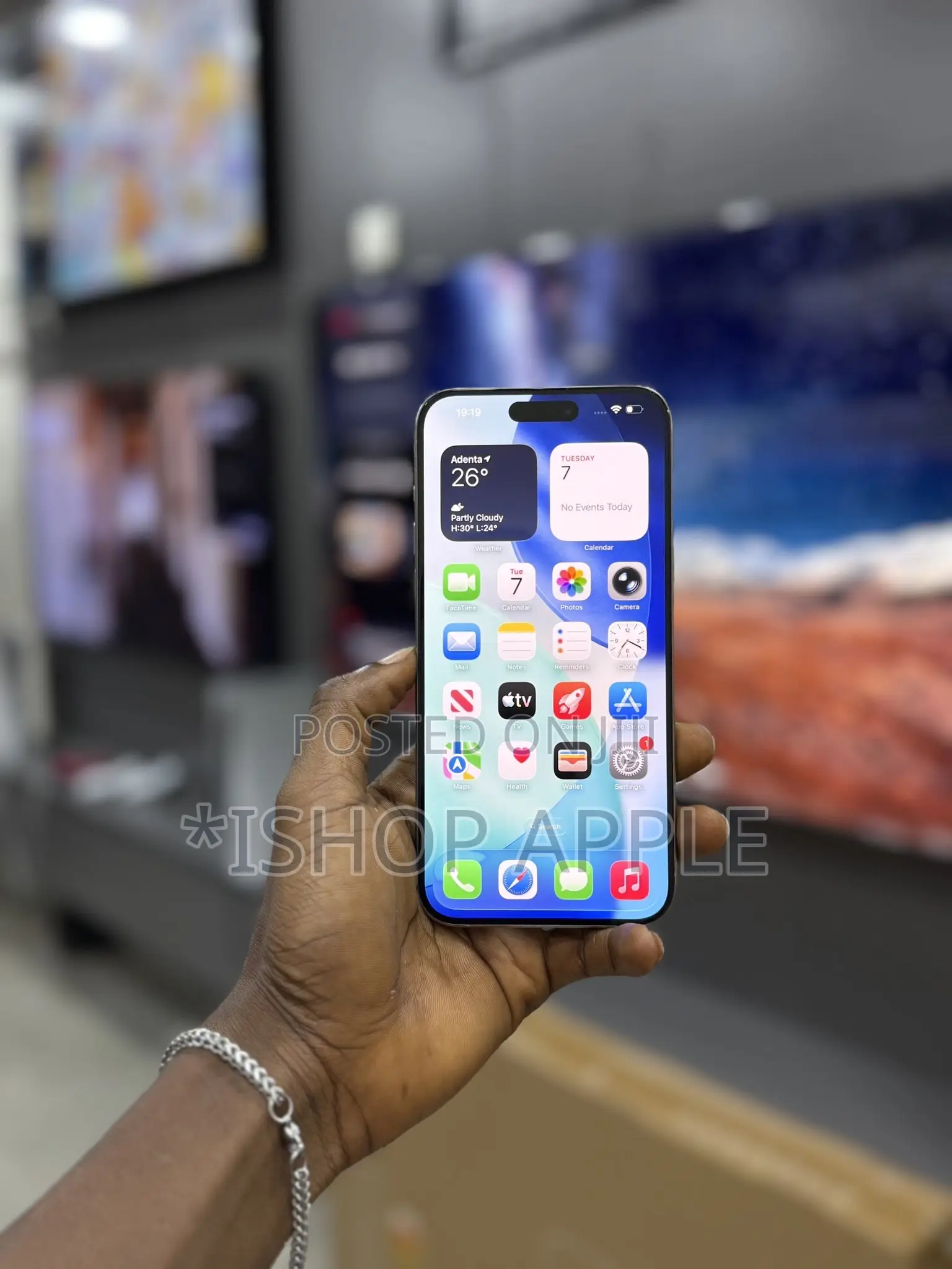 Apple iPhone 15 Pro Max 256 GB Silver