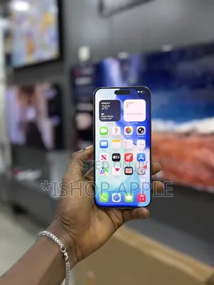 Apple iPhone 15 Pro Max 256 GB Silver