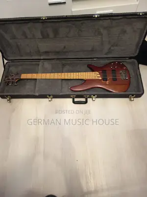 Ibanez Guitar