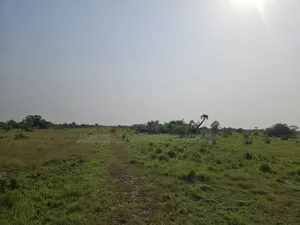 19 Acres of Land Available for Sale at Tema Industrial Area