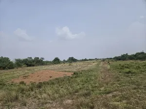 A. 17 Acres of Land Available for Sale at Tema Industrial Area.