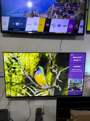 Sharp 55 Inches Roku 2024/25 Model Graphics With Fast Internet Tv