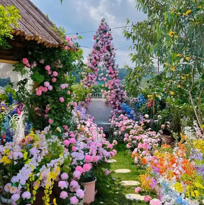 Climbing Rose Seeds for Planting – Beautiful Flowering Vine for Walls
