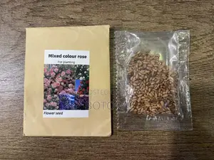 Climbing Rose Seeds for Planting – Beautiful Flowering Vine for Walls