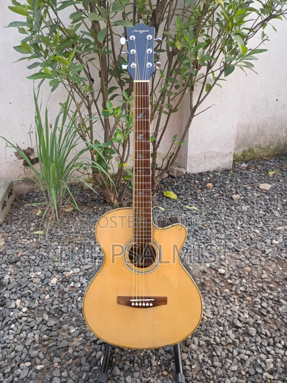 Martin Smith W401e-N Semi Acoustic Guitar