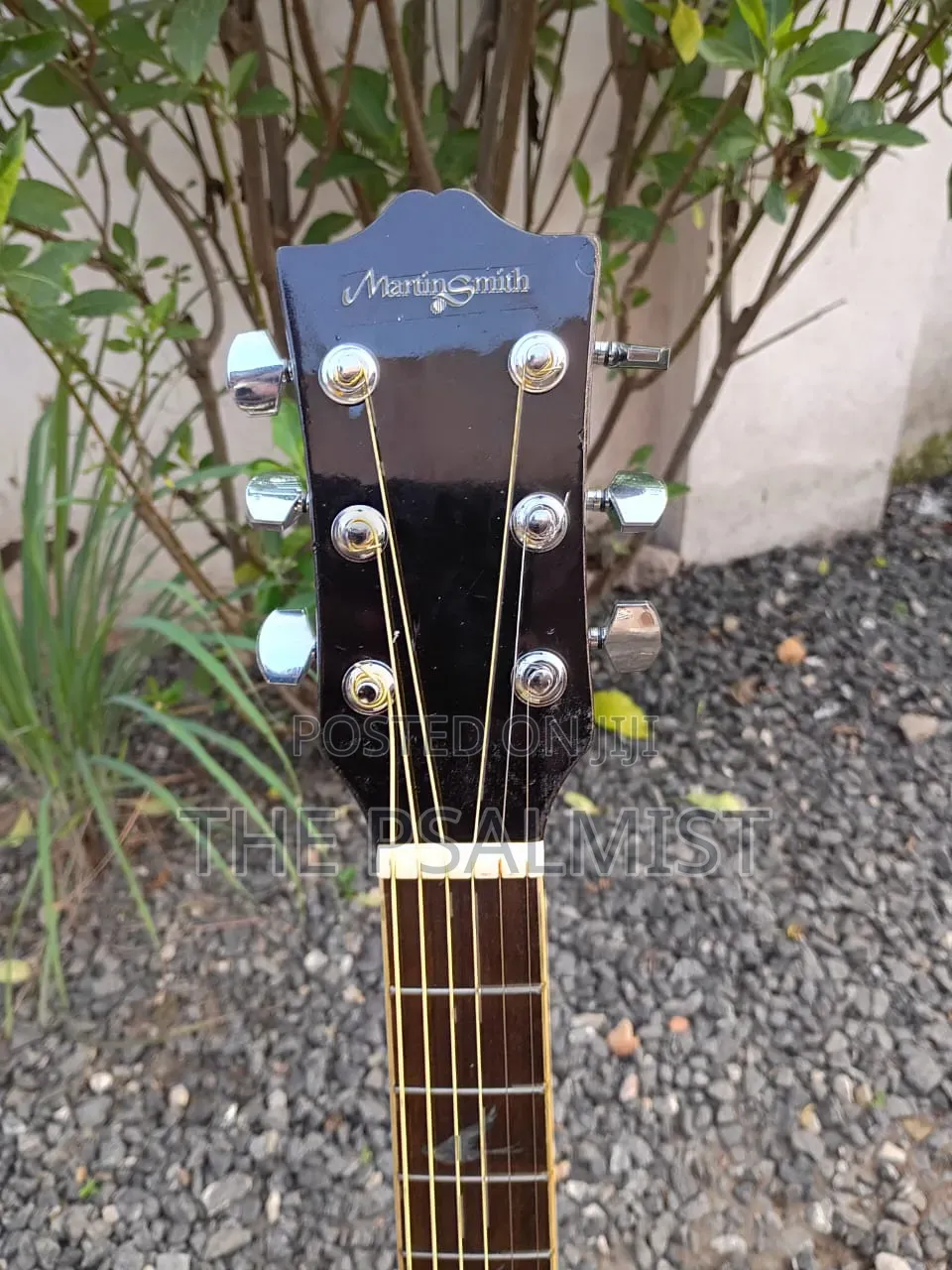 Martin Smith W401e-N Semi Acoustic Guitar