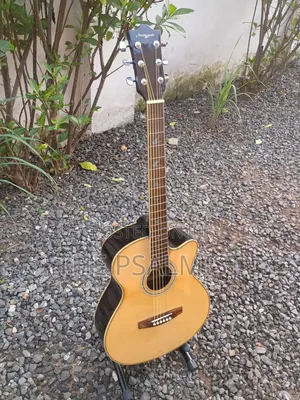 Martin Smith W401e-N Semi Acoustic Guitar