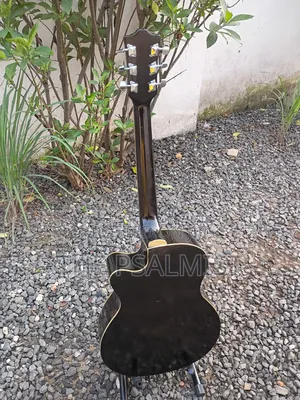 Martin Smith W401e-N Semi Acoustic Guitar