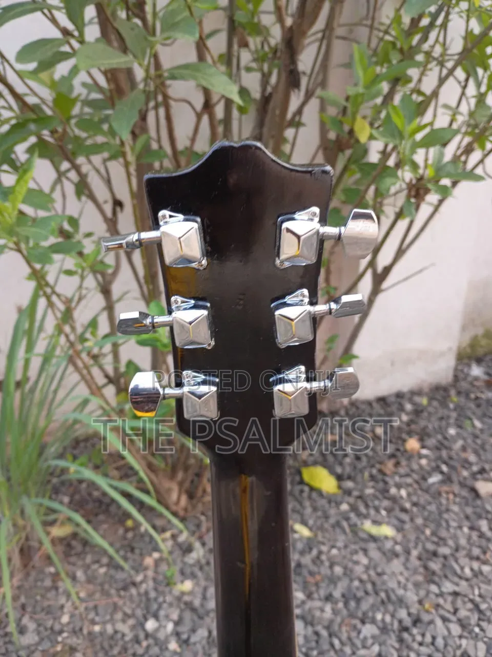 Martin Smith W401e-N Semi Acoustic Guitar