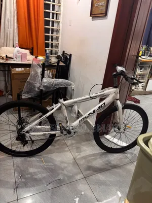 Quality and Affordable Adult Bicycles