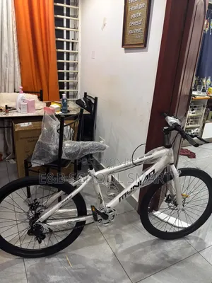Quality and Affordable Adult Bicycles