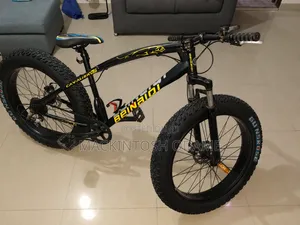 Beinadi Fat Tyre Bike