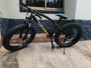 Beinadi Fat Tyre Bike