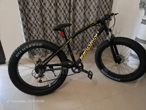 Beinadi Fat Tyre Bike
