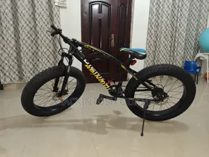 Beinadi Fat Tyre Bike