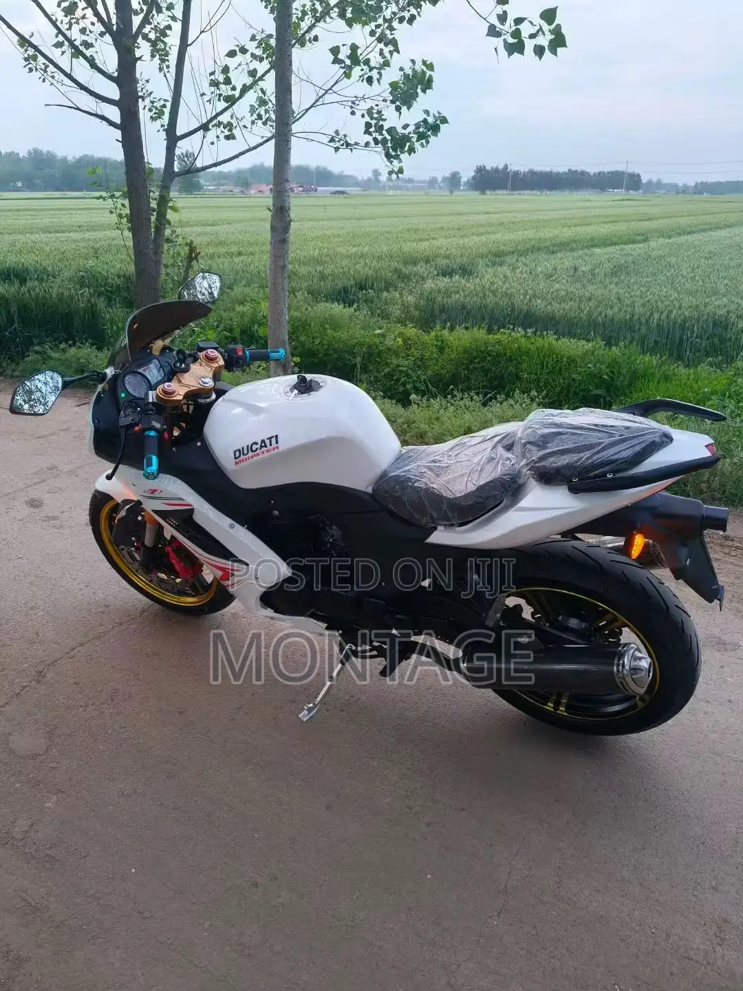 Ducati Sport Touring 2024 White