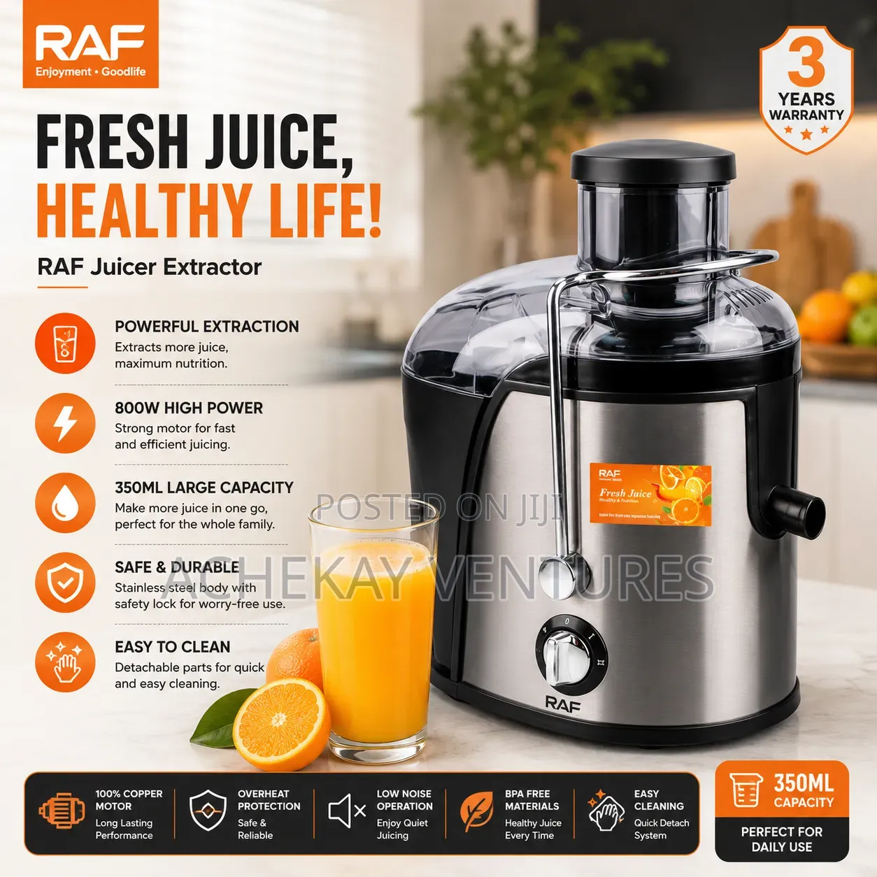 Raf Juicer Extractor 800w – R.2805