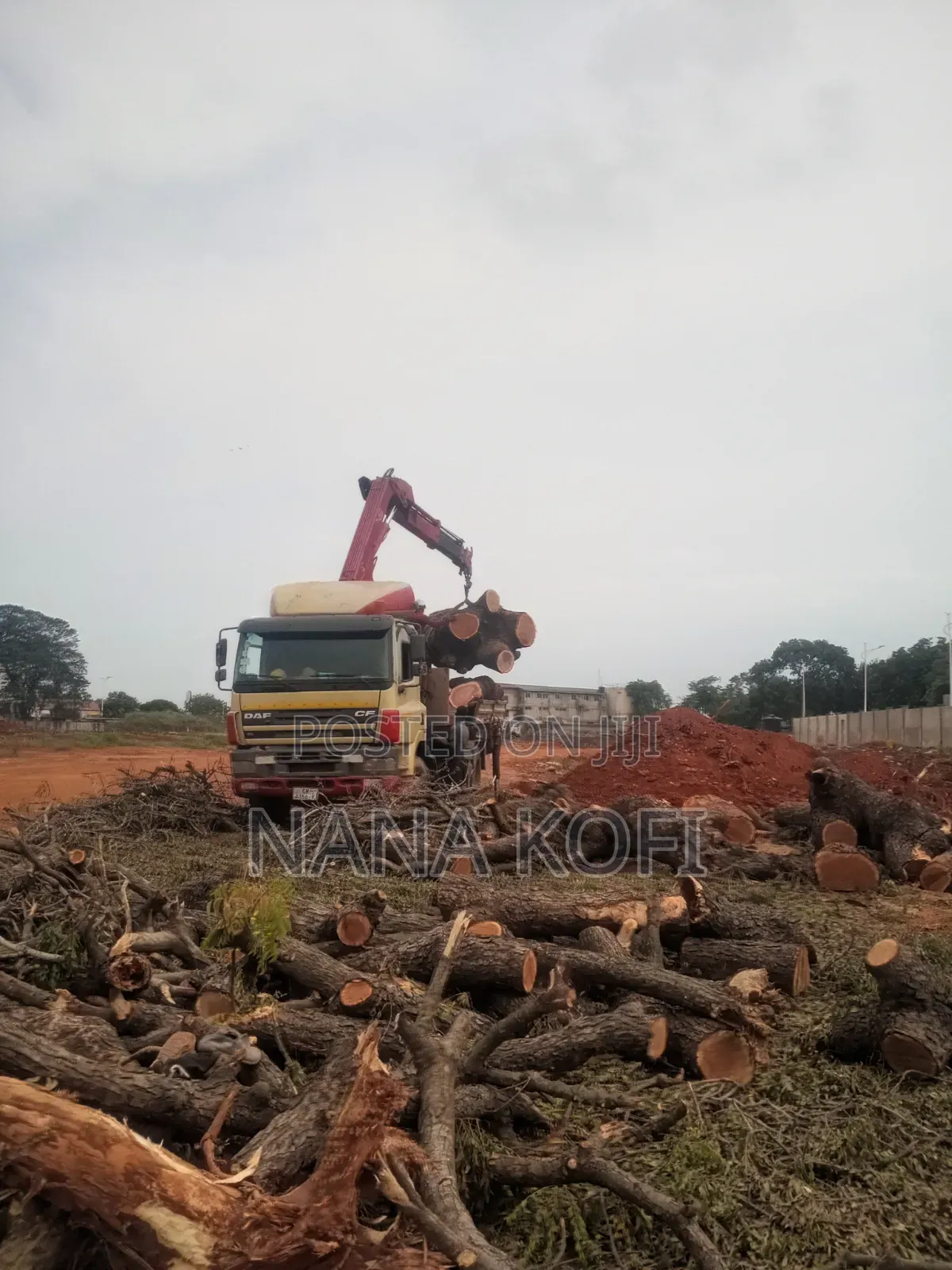 Tree Cutting, Prunning, Chainsaw Work and Gardening Service Service