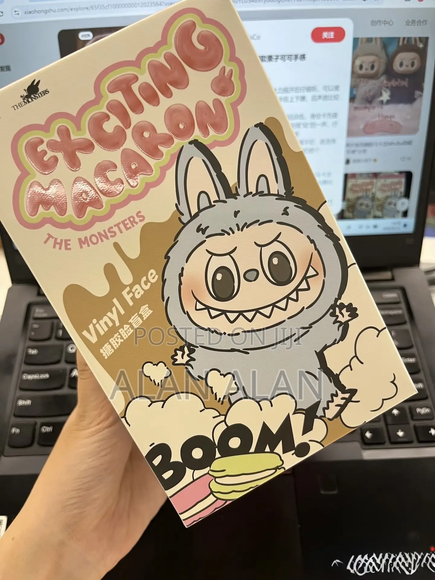 Pop Mart Labubu "Exciting Macaron" Collectible Figure (Like New)