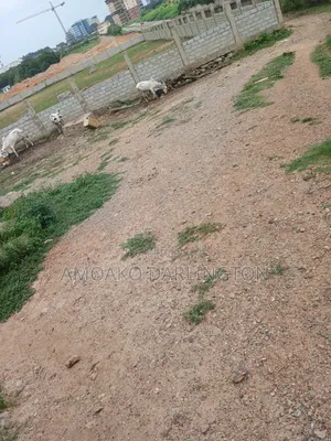 4 Plot of Land for Sale Airport