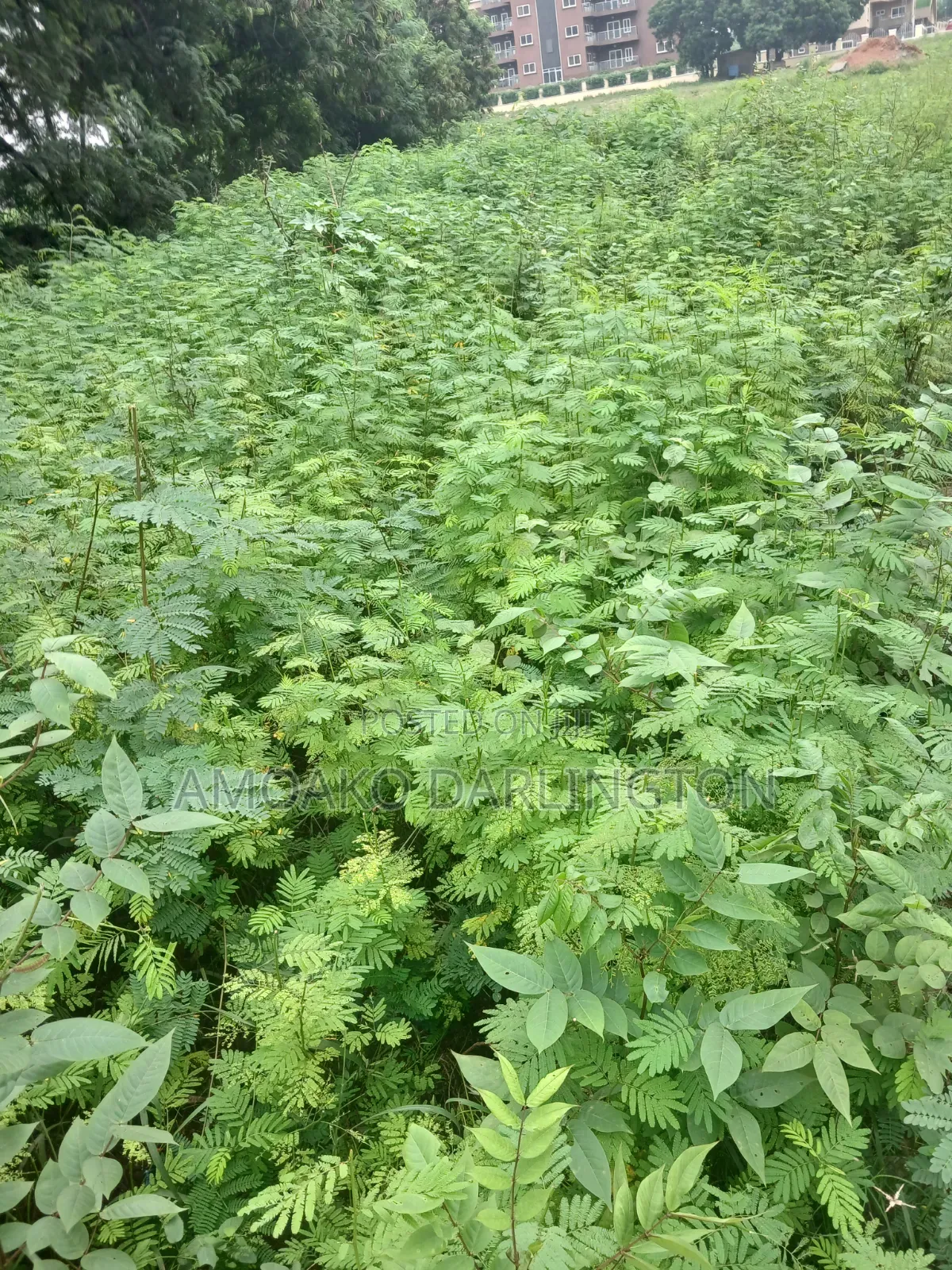 4 Plot of Land for Sale at Marina 2 Airpot