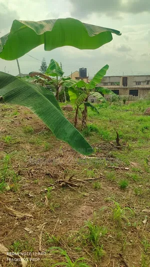 4 Plot of Land for Sle Ridge Airpot