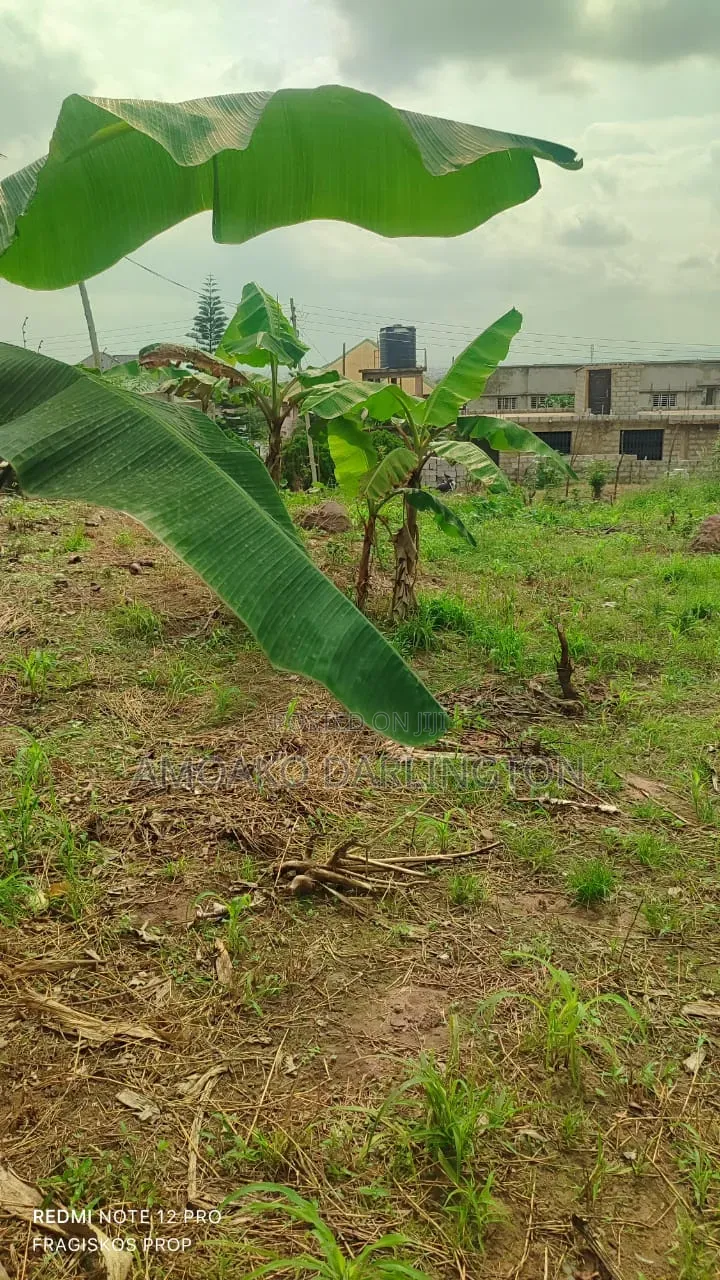 4 Plot of Land for Sle Ridge Airpot